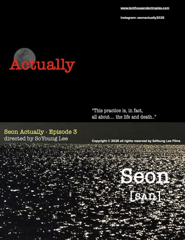 Poster for Seon, Actually