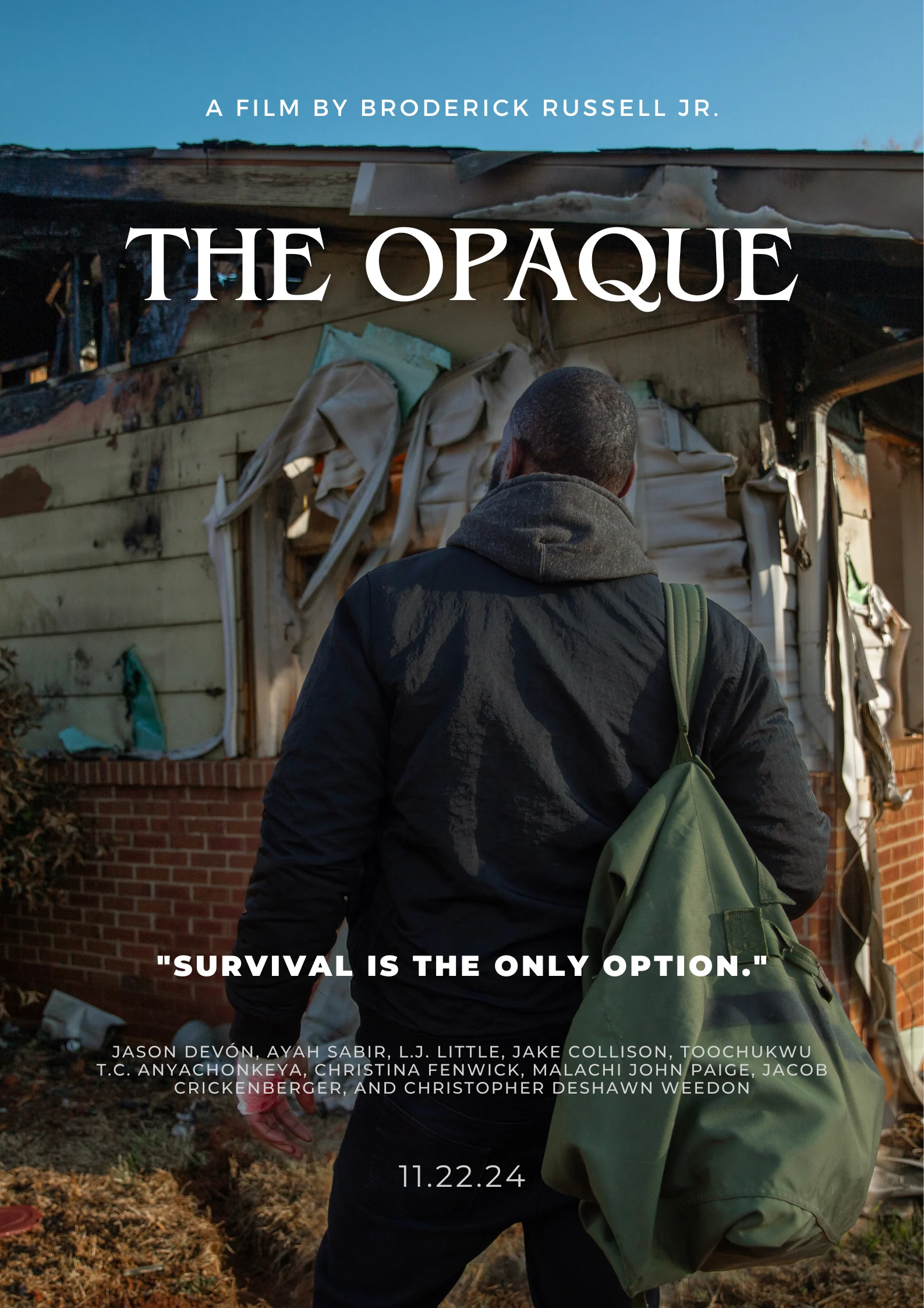 Poster for the film The Opaque